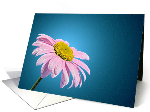 Beautiful Pink Daisy Blank Note card (238507)
