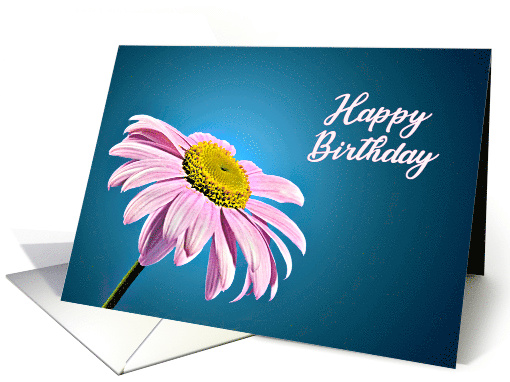 Beautiful Pink Daisy Birthday card (238511)