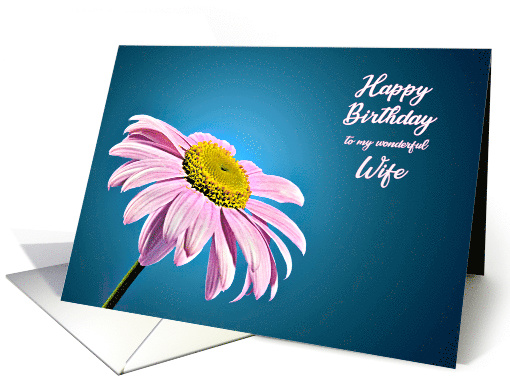 Wife Birthday, Beautiful Pink Daisy card (238543)