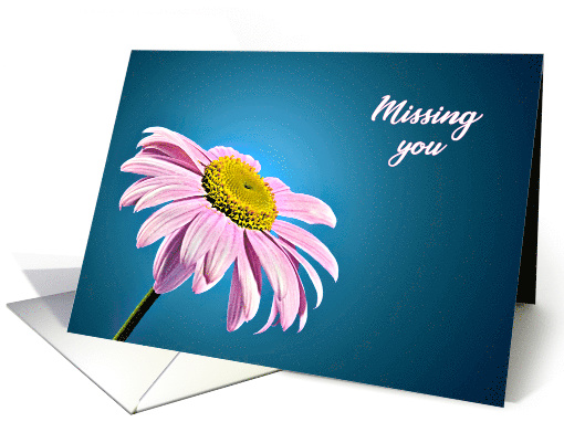 Missing You, Beautiful Pink Daisy card (238699)