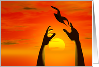 Releasing a bird into a glorious sunset card