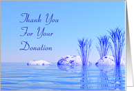 Donation Thanks...