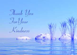 Kindness Thank You...