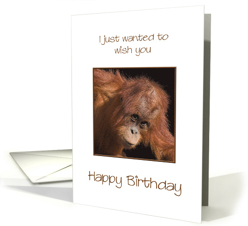 Birthday, Orang Utan Jokes card (303648)