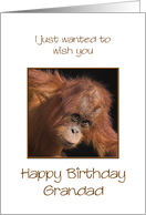 Grandad Birthday, Orang Utan Jokes card