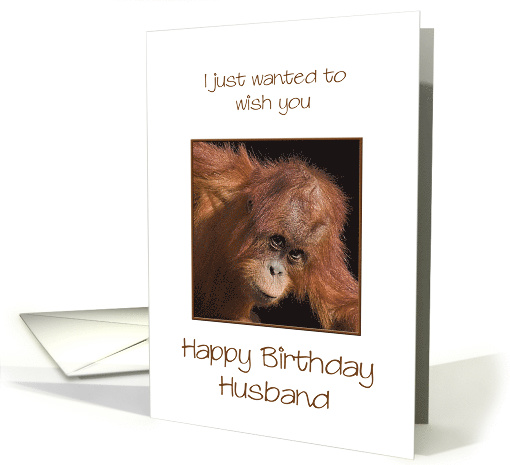 Husband Birthday, Orang Utan Jokes card (304394)