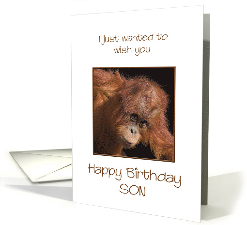Son Birthday, Orang Utan Jokes card (304400)