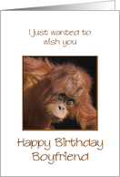 Boyfriend Birthday, Orang Utan Jokes card