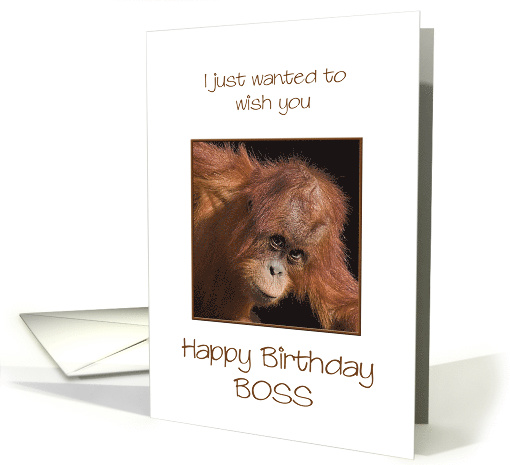 Boss Birthday, Orang Utan Jokes card (305921)