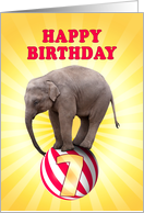 7th birthday Elephant on a Ball card
