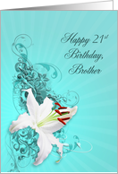 21st Birthday, Brother,White Lily card