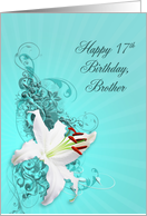 17th Birthday, Brother,White Lily card