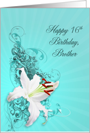 16th Birthday, Brother,White Lily card