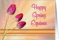Tulips and Bubbles Happy Spring Equinox card