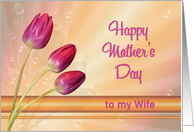 Wife, Mother’s Day with Tulips and Bubbles card