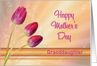 Granddaughter Mother’s Day with Tulips and Bubbles card