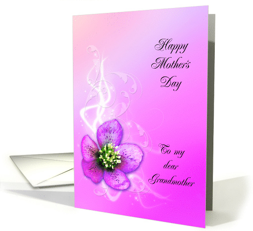 Mother's Day, Grandmother, Purple Helebore Flower card (406585)