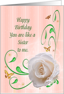 Like a Sister Birthday with a White Rose card