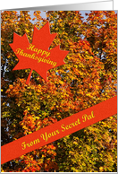 Thanksgiving Secret Pal card