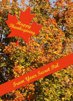Thanksgiving Secret...