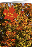 Thanksgiving Leaves card