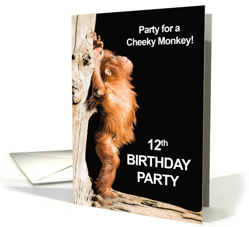 12th Birthday Party for a Cheeky Monkey card (523692)