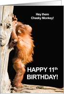 11th Birthday for a Cheeky Monkey card