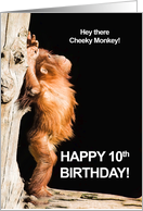 10th Birthday for a Cheeky Monkey card