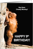 9th Birthday for a Cheeky Monkey card