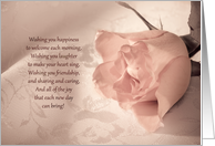Thinking of You, Pink Rose card