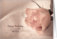 Sister, Birthday with a Pink Rose card