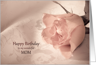 Mom, Birthday with a Pink Rose card