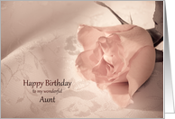 Aunt, Birthday with...
