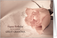 Great Grandma, Birthday with a Pink Rose card