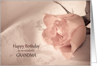 Grandma, Birthday with a Pink Rose card
