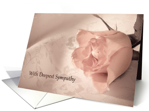 Sympathy on a Loss, Pink Rose card (530488)