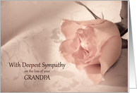 Sympathy Loss of Grandpa, Pink Rose card