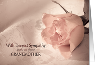 Sympathy Loss of Grandmother, Pink Rose card