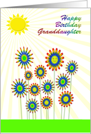 Granddaughter Birthday Happy Flowers! card