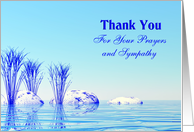 Thank You for sympathy. card