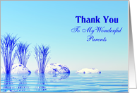 Thank You wonderful parents card