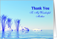 Thank You wonderful mother card