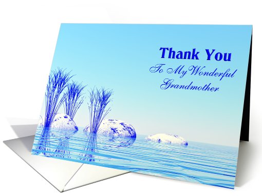 Thank You wonderful Grandmother card (553157)