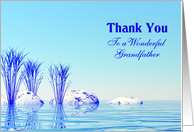 Thank You wonderful Grandfather card