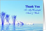 Thank You Wonderful Aunt & Uncle card