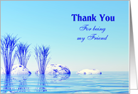 Thank You for being my friend card