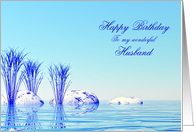 Husband Birthday Blue Spa card
