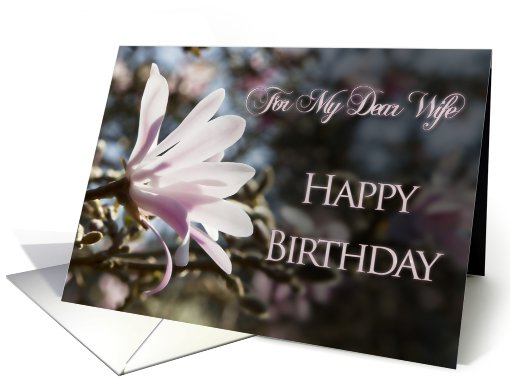 For Wife, a birthday card with magnolias card (609855)