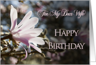 For Wife, a birthday card with magnolias card