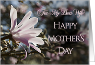 For Wife, a Mother’s Day card with magnolias card